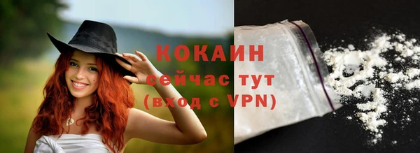тгк Алзамай