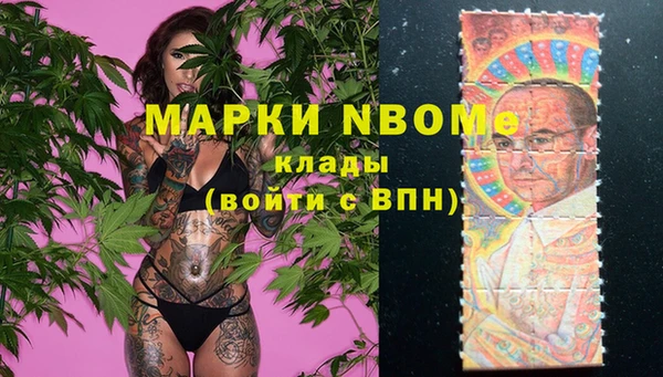 тгк Алзамай