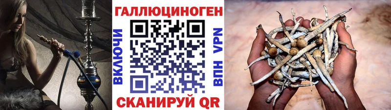 Псилоцибиновые грибы MAGIC MUSHROOMS Калач
